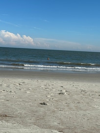 The beach was steps away from the condo!