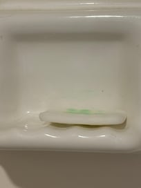 Bar of soap was in the shower when we walked in.