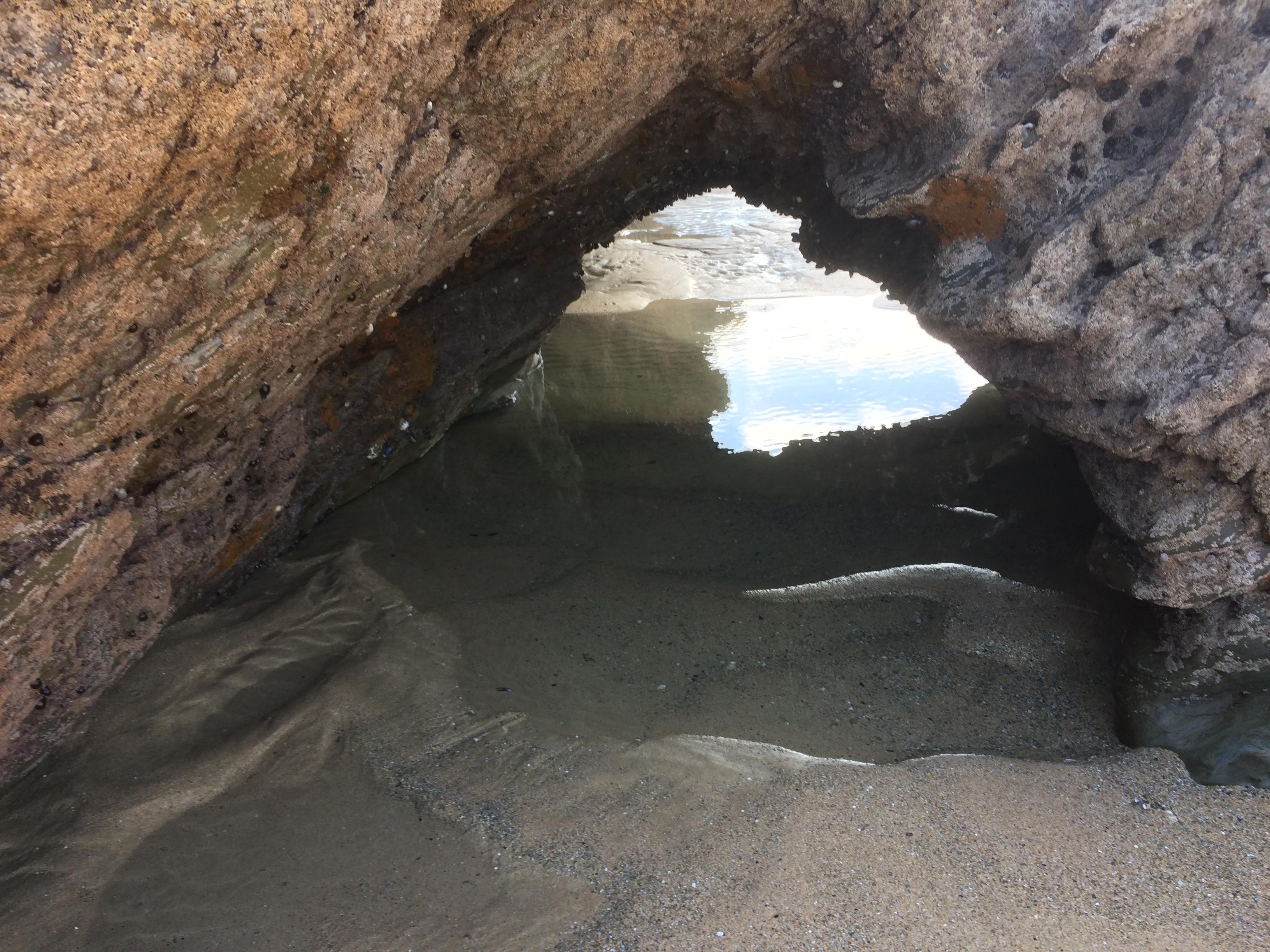 Porth beach great