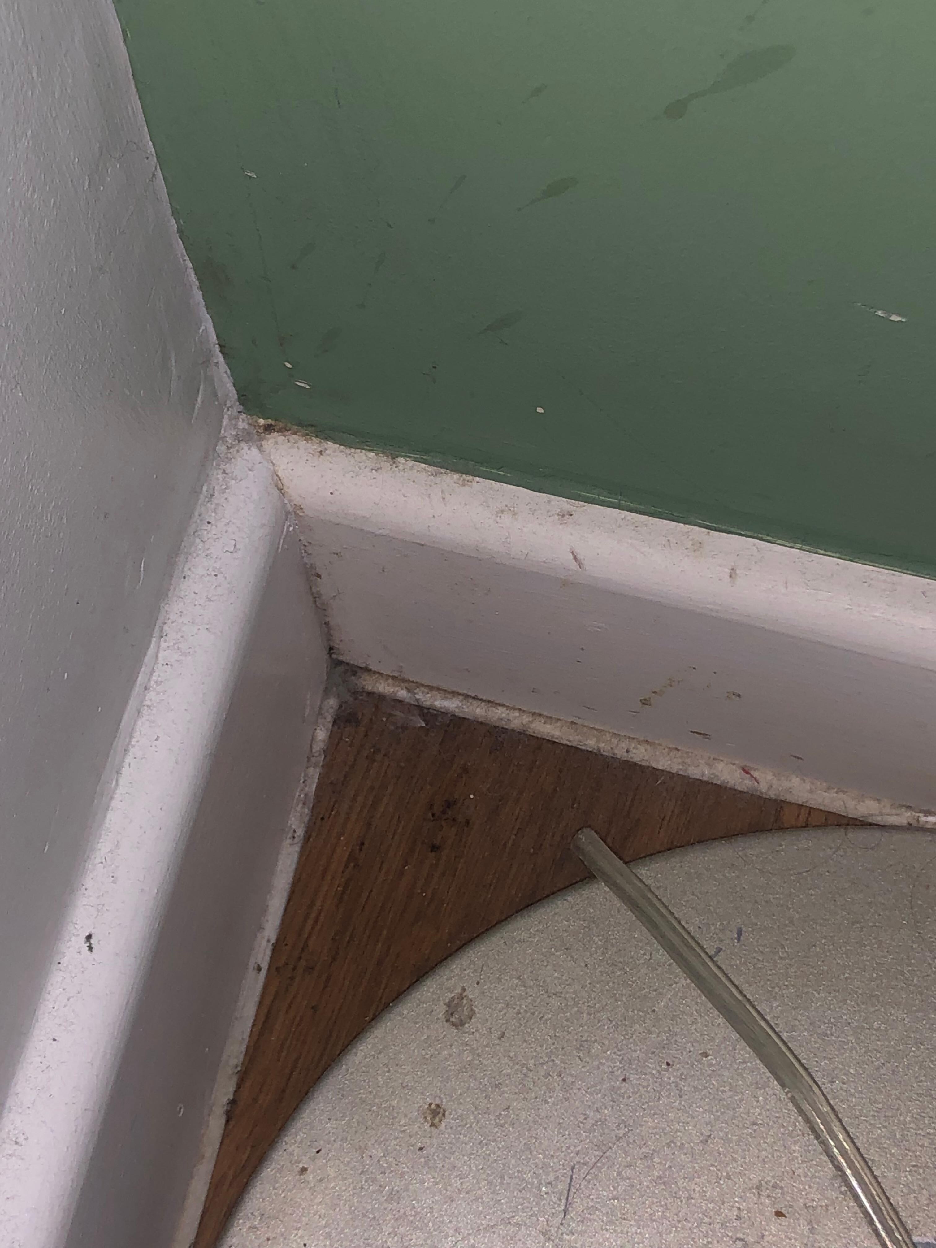 Dust, hair, dirt, stains, etc. by the bed