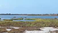 Parque natural Cabo de Gata.