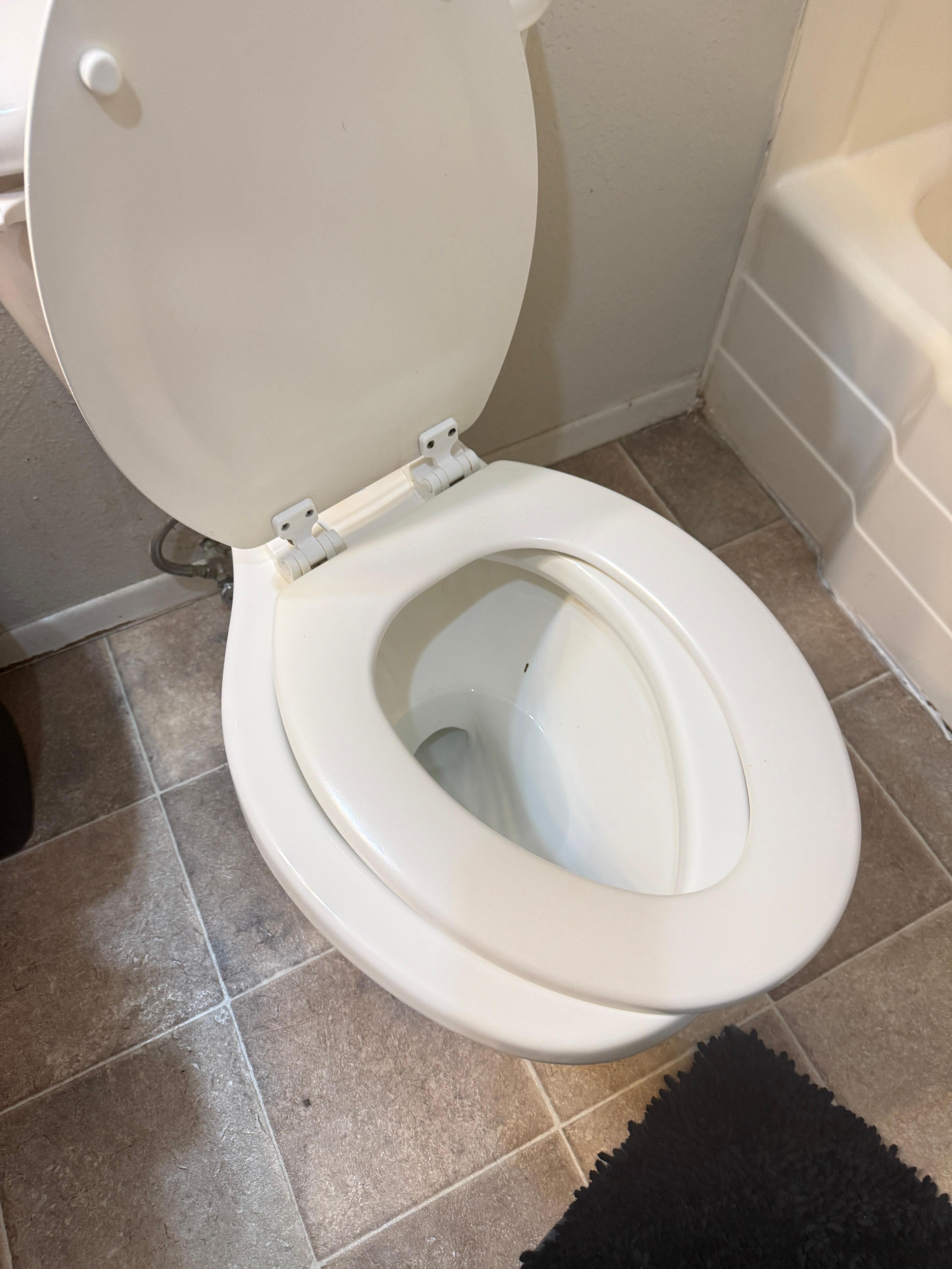 Toilet seat 