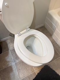 Toilet seat