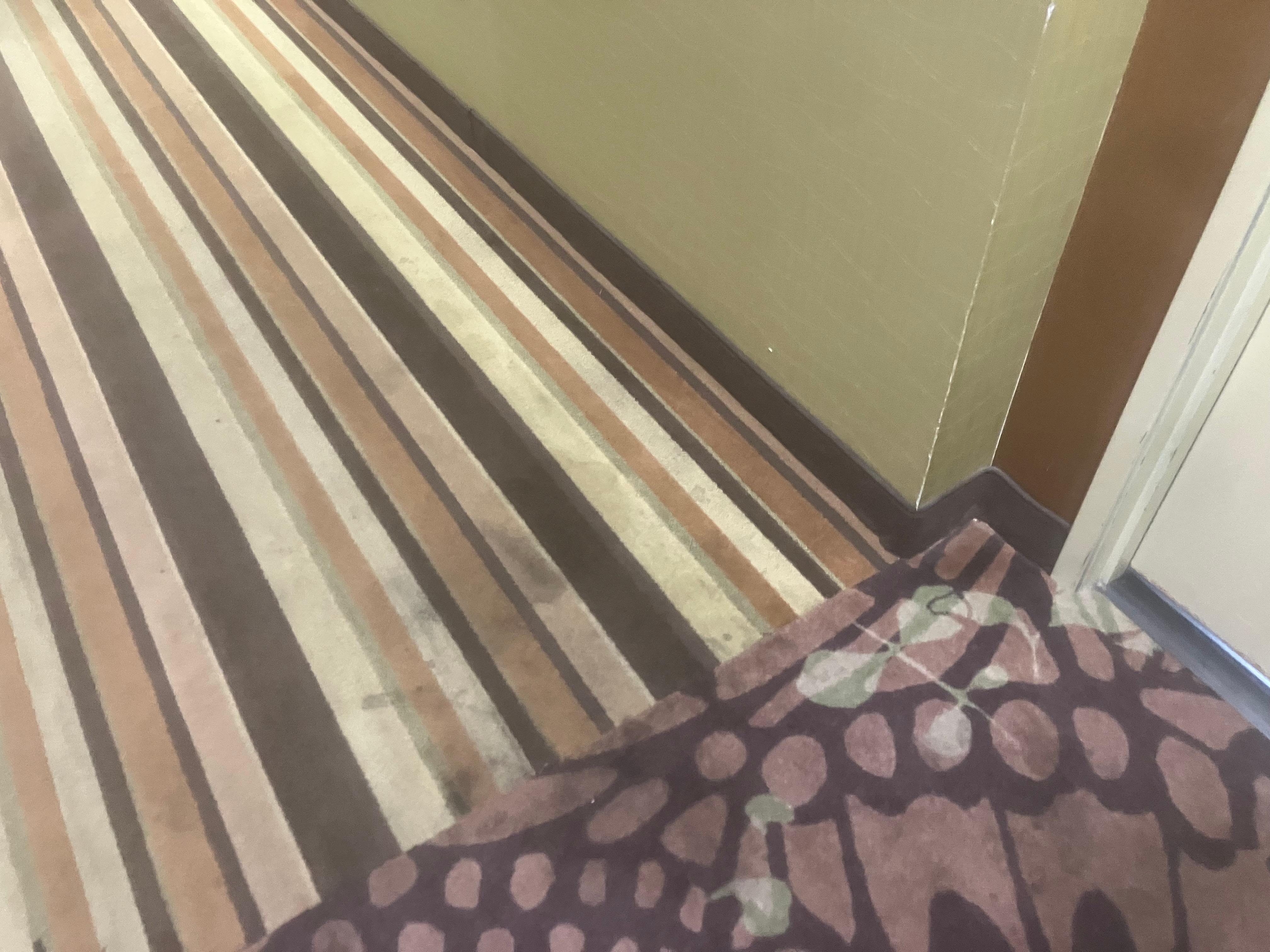 All the hallway rugs were stained like this.