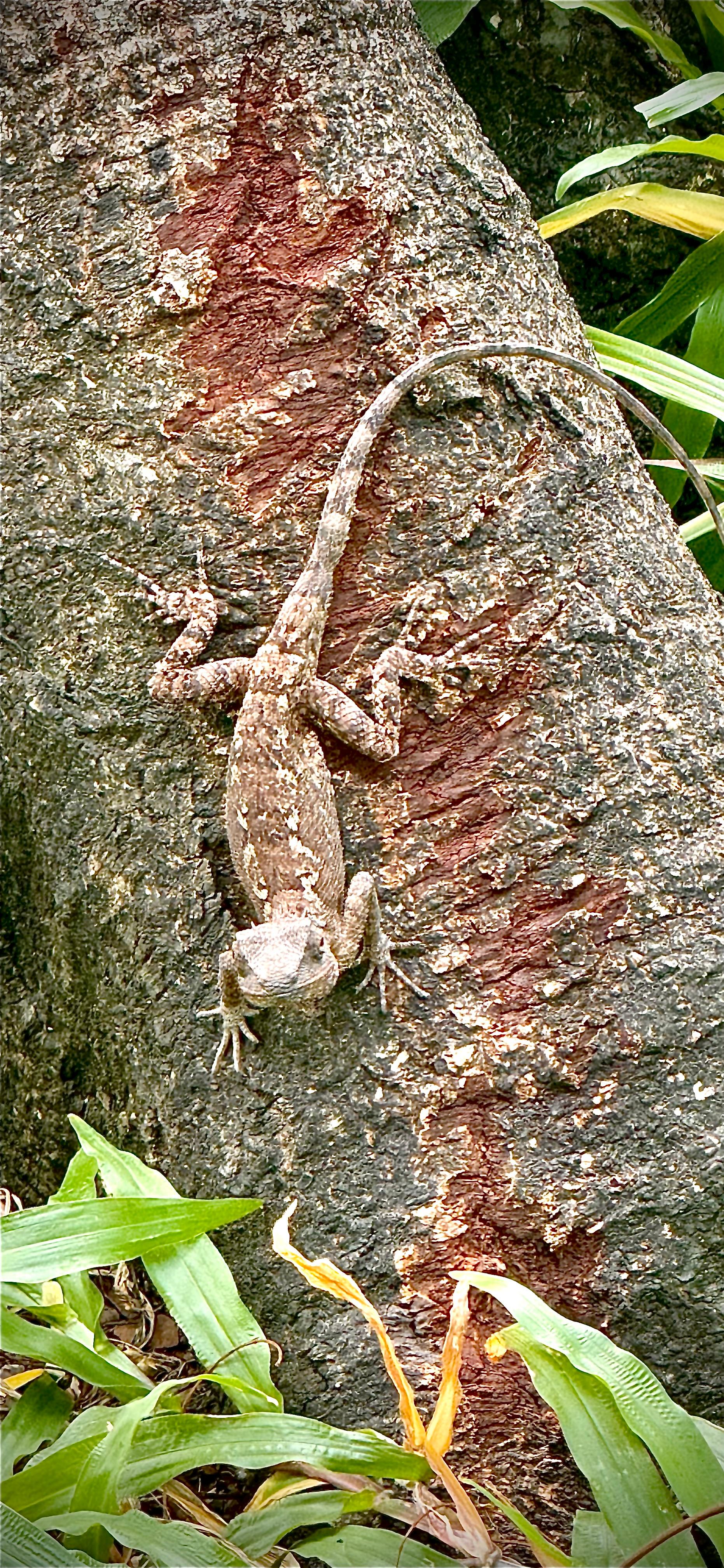 Im nahegelegenen Park