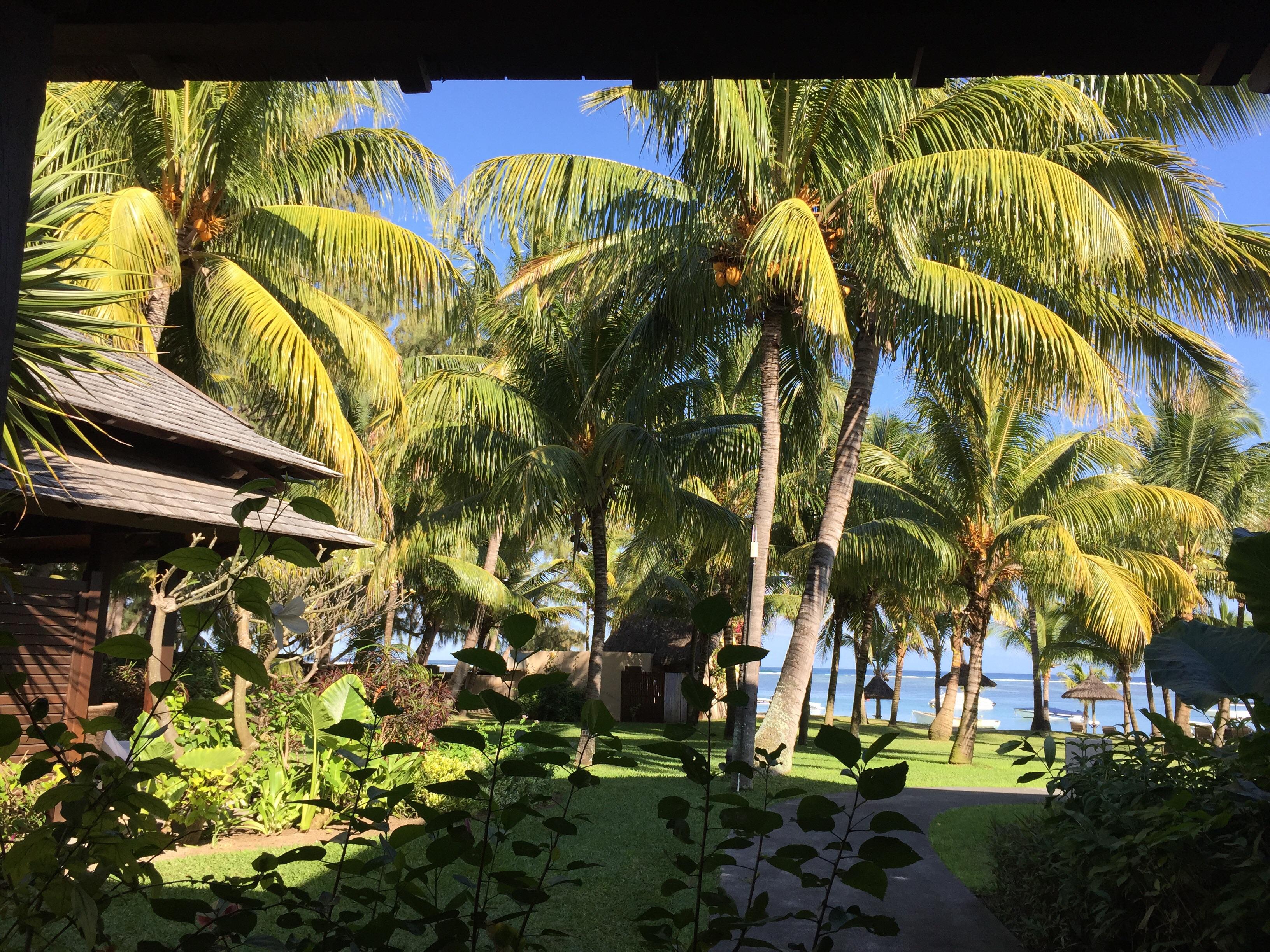 giardino 