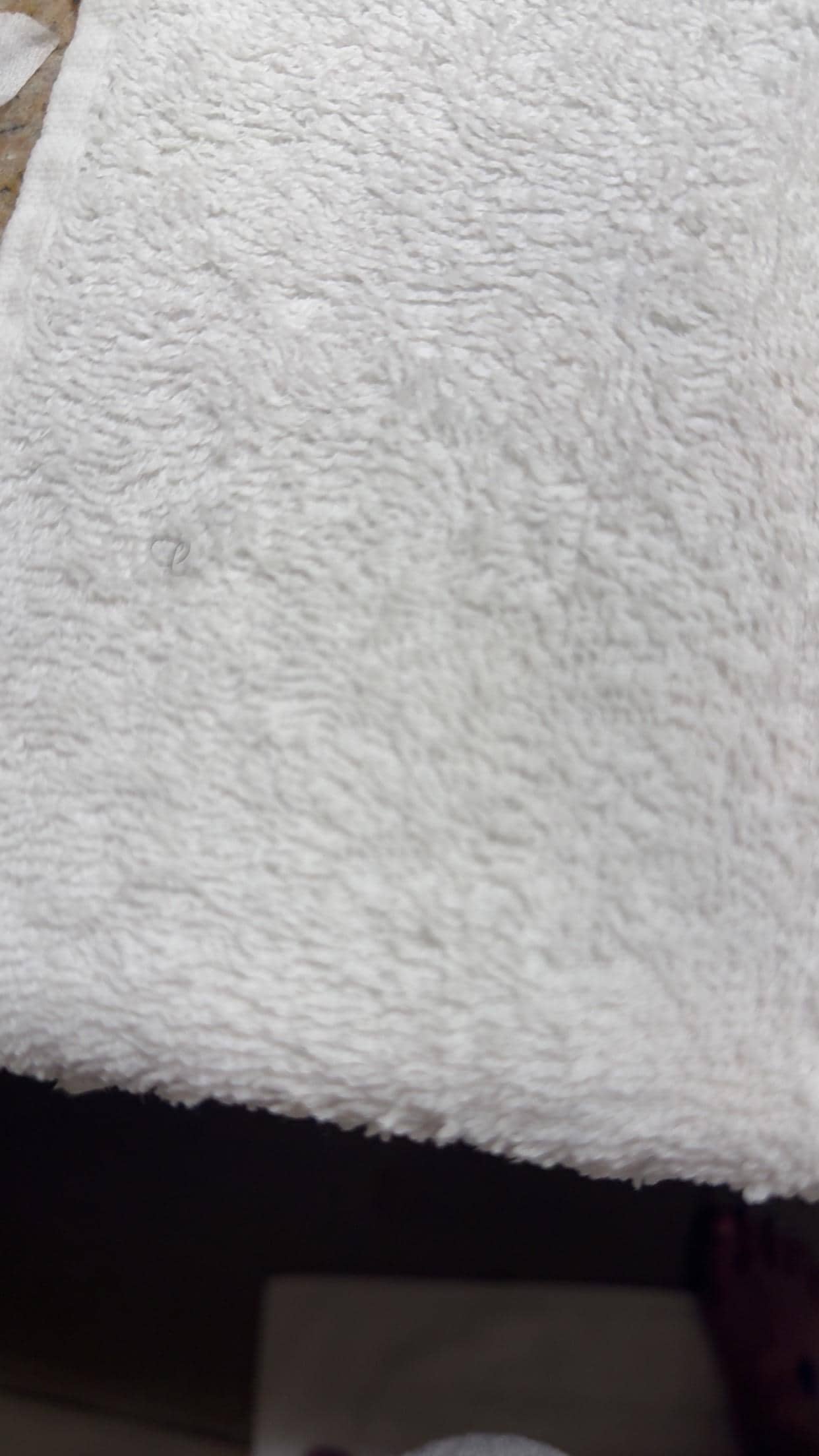 Pubic Hair in the wash cloth