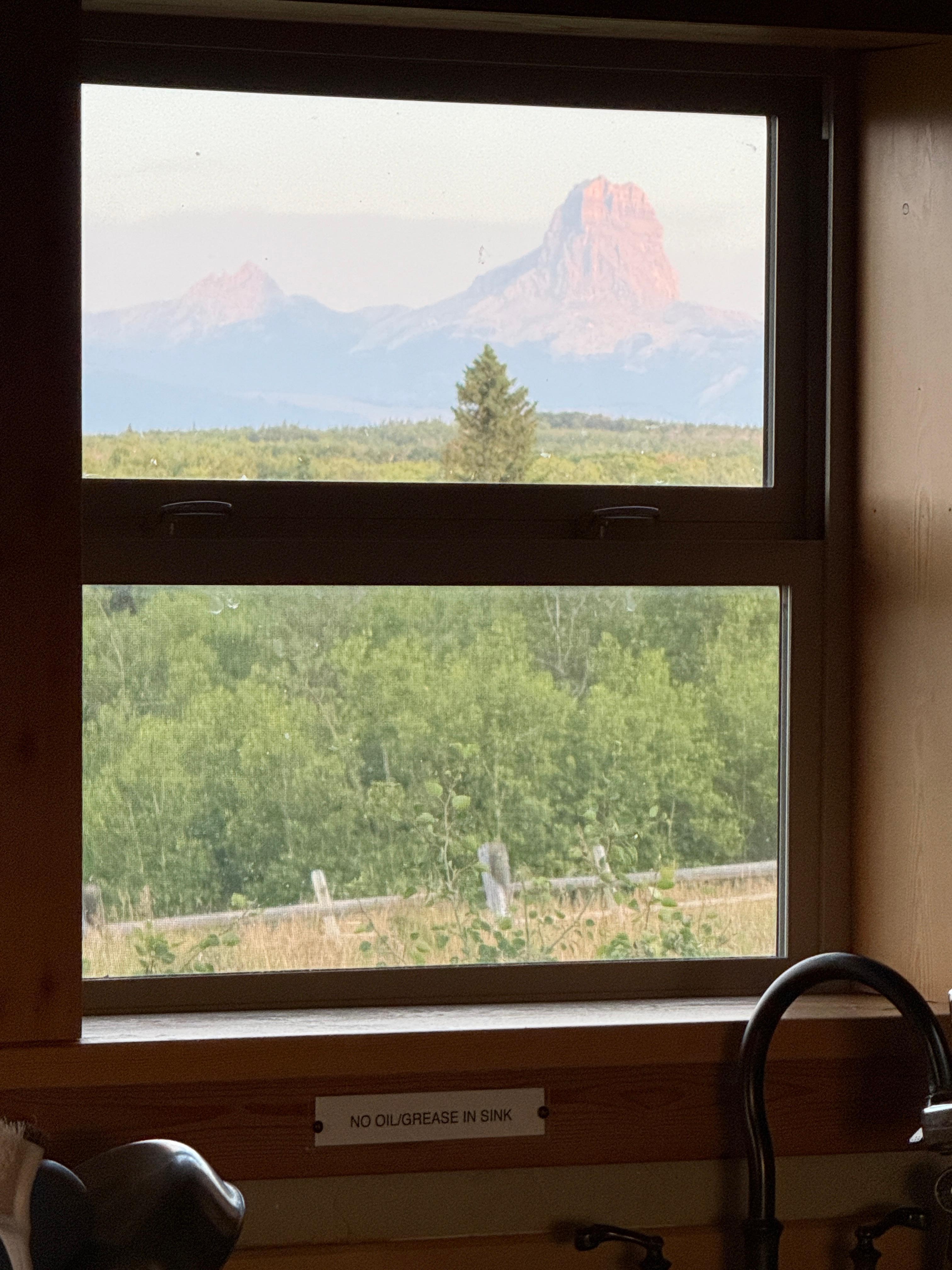 View from the kitchen window