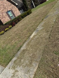 Grass clippings left all over.