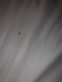 Blood? Stained sheets