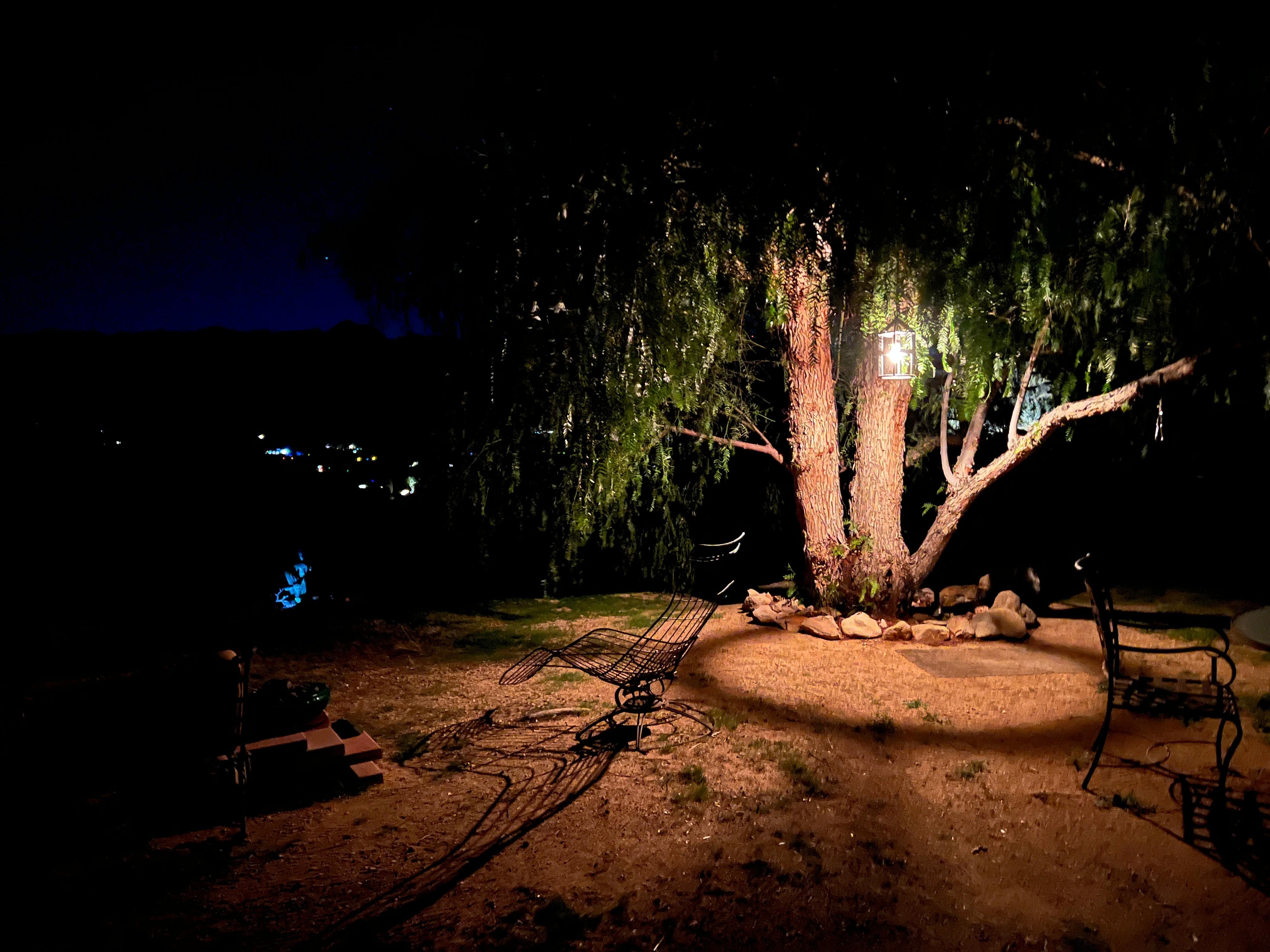 West side area with mature pepper tree and lamp