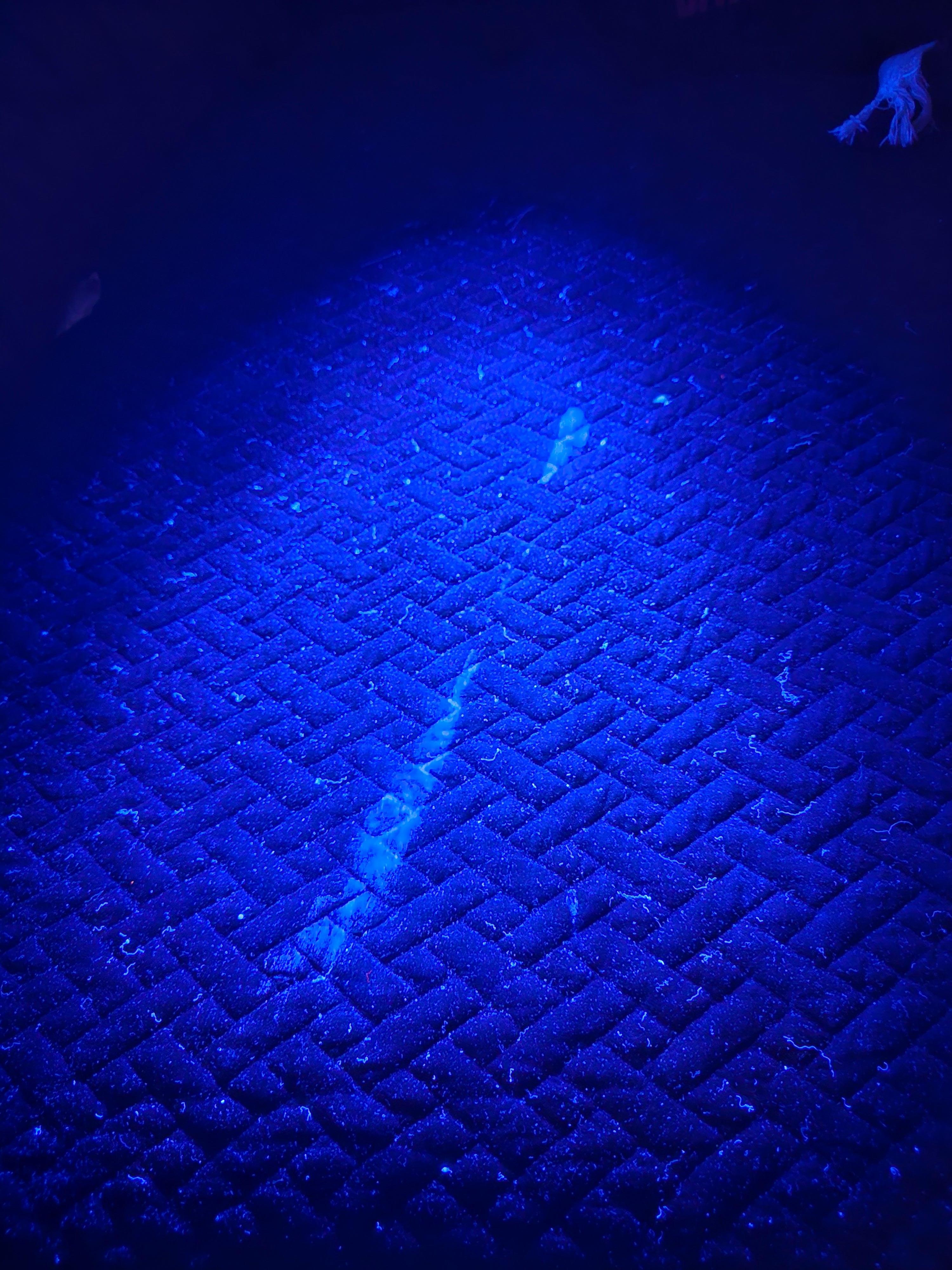 Bed spread with black light