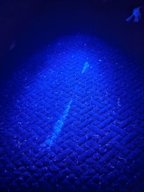 Bed spread with black light