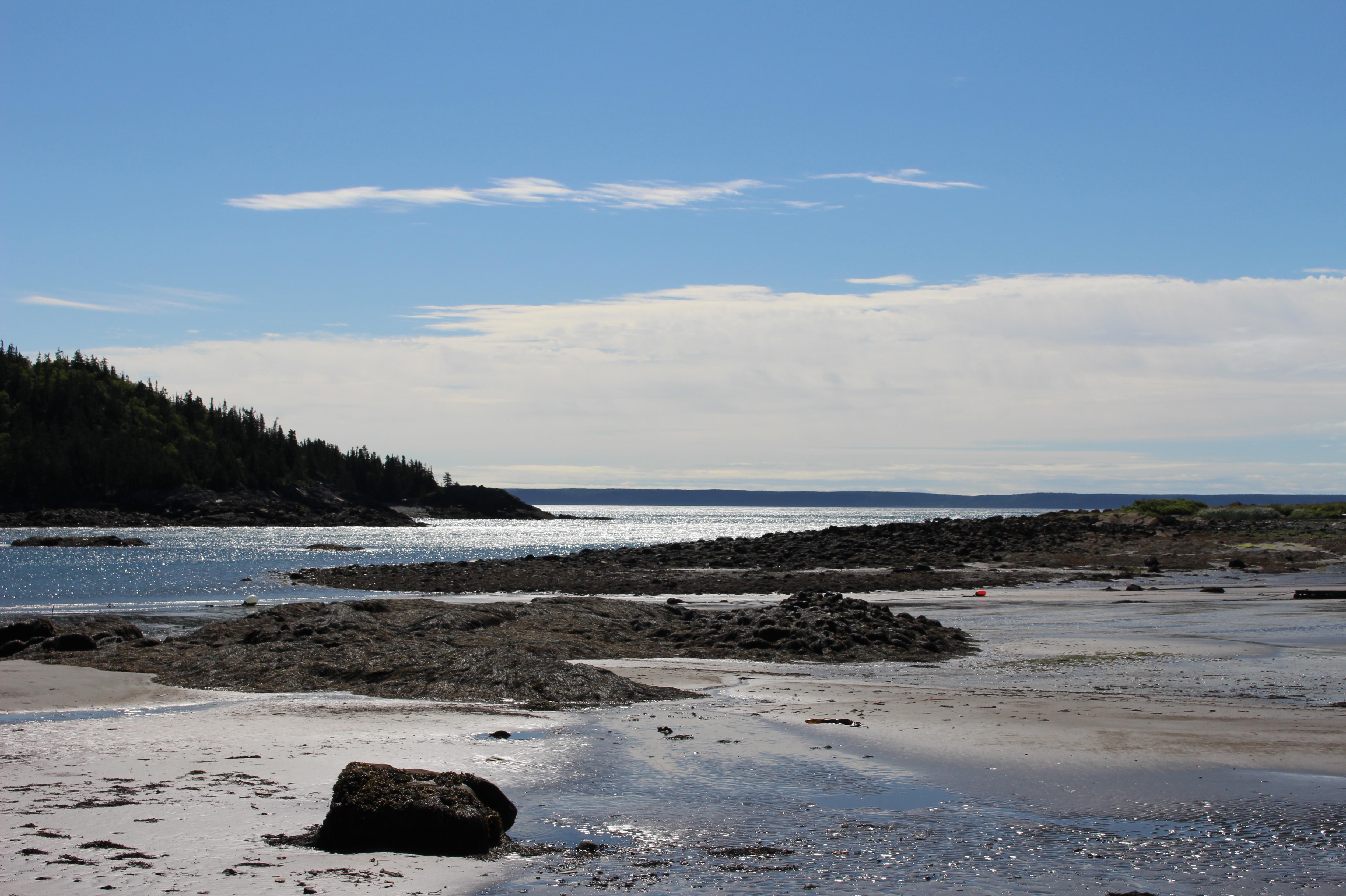 The cove