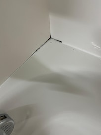 Black mold in shower