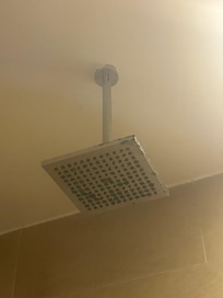 Mildew and corrosion in showerhead