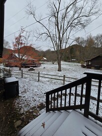 It snowed! So pretty.