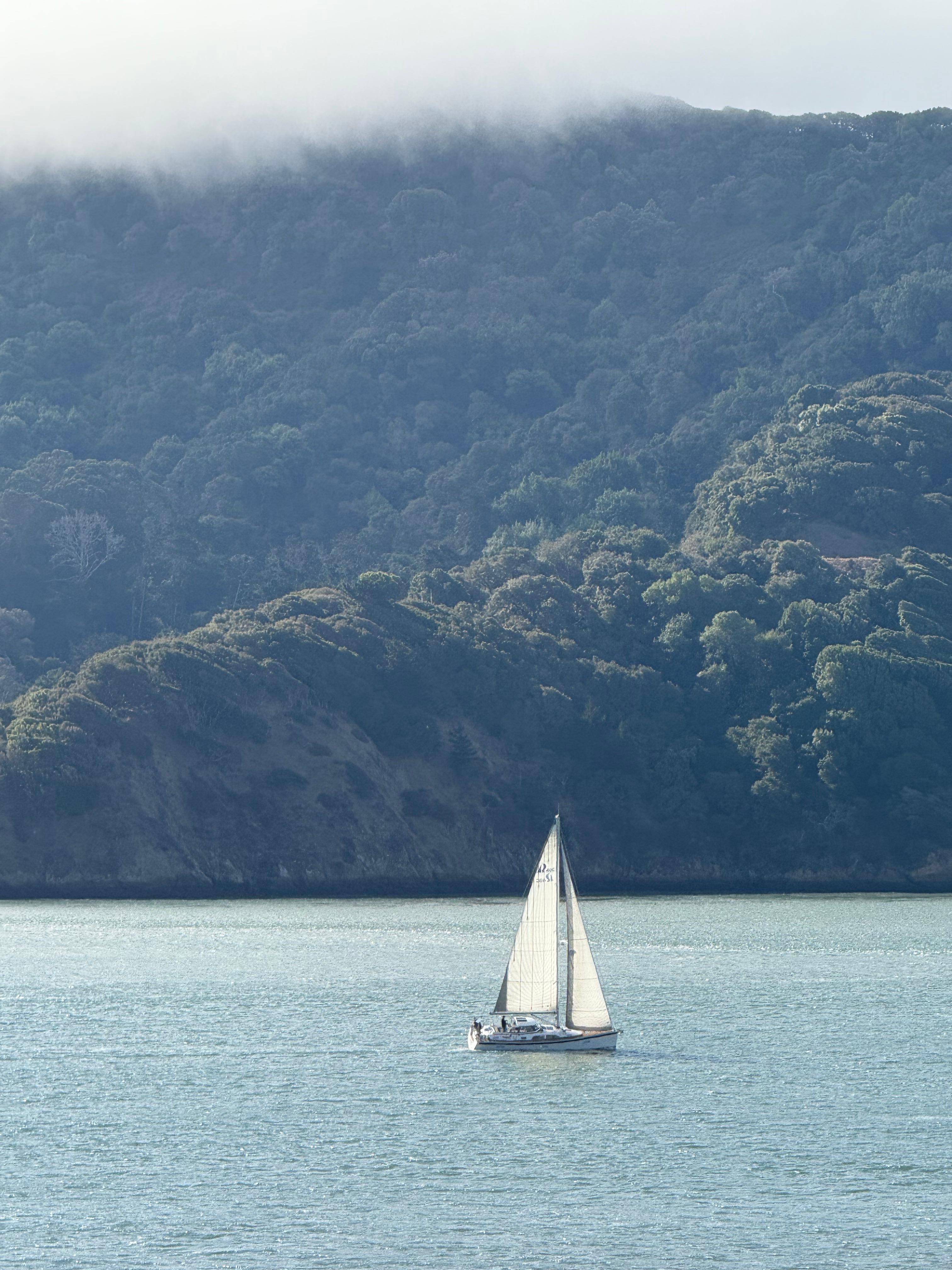 View from the living room 