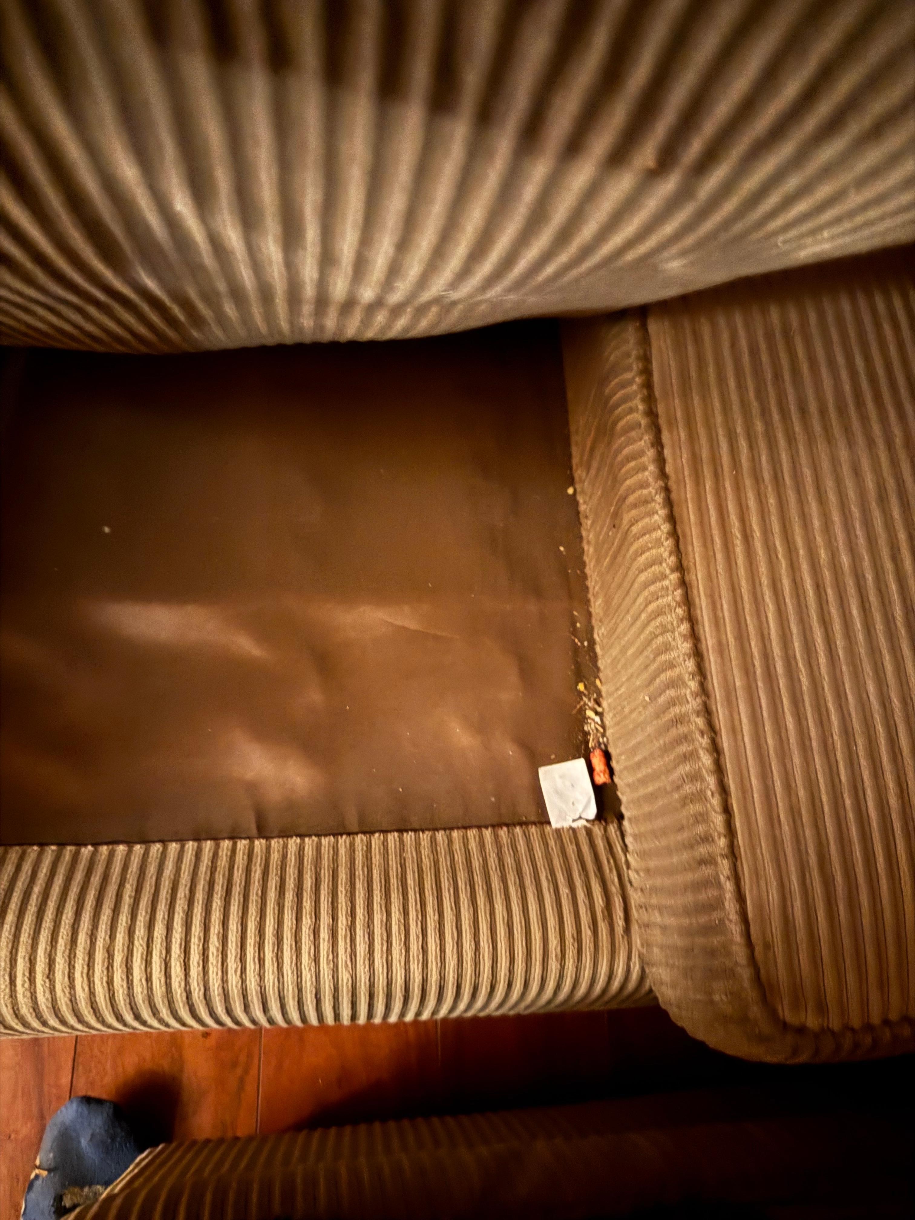 Crumbs in couch