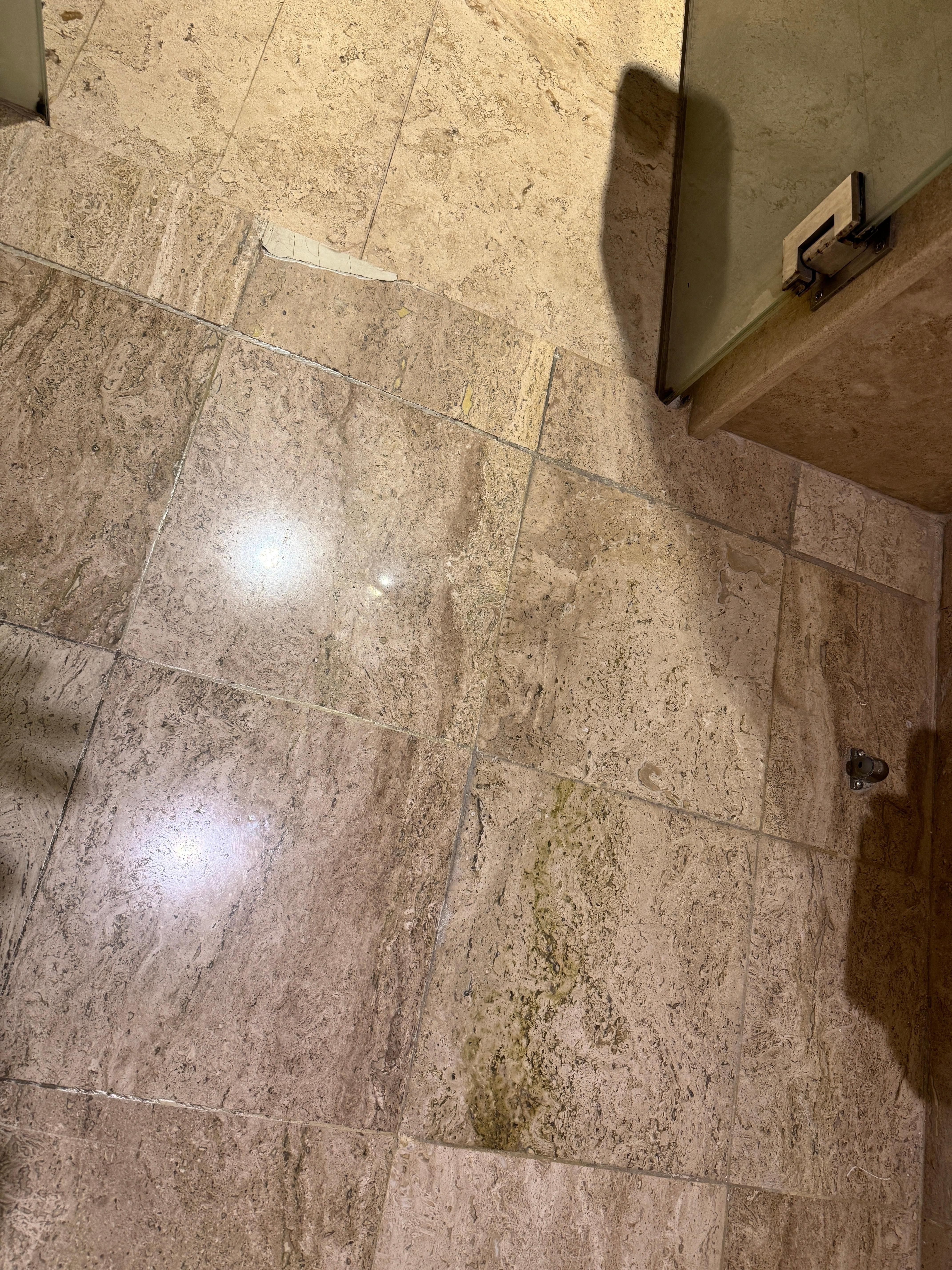 Mold on the floor as you can see .