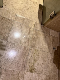 Mold on the floor as you can see .