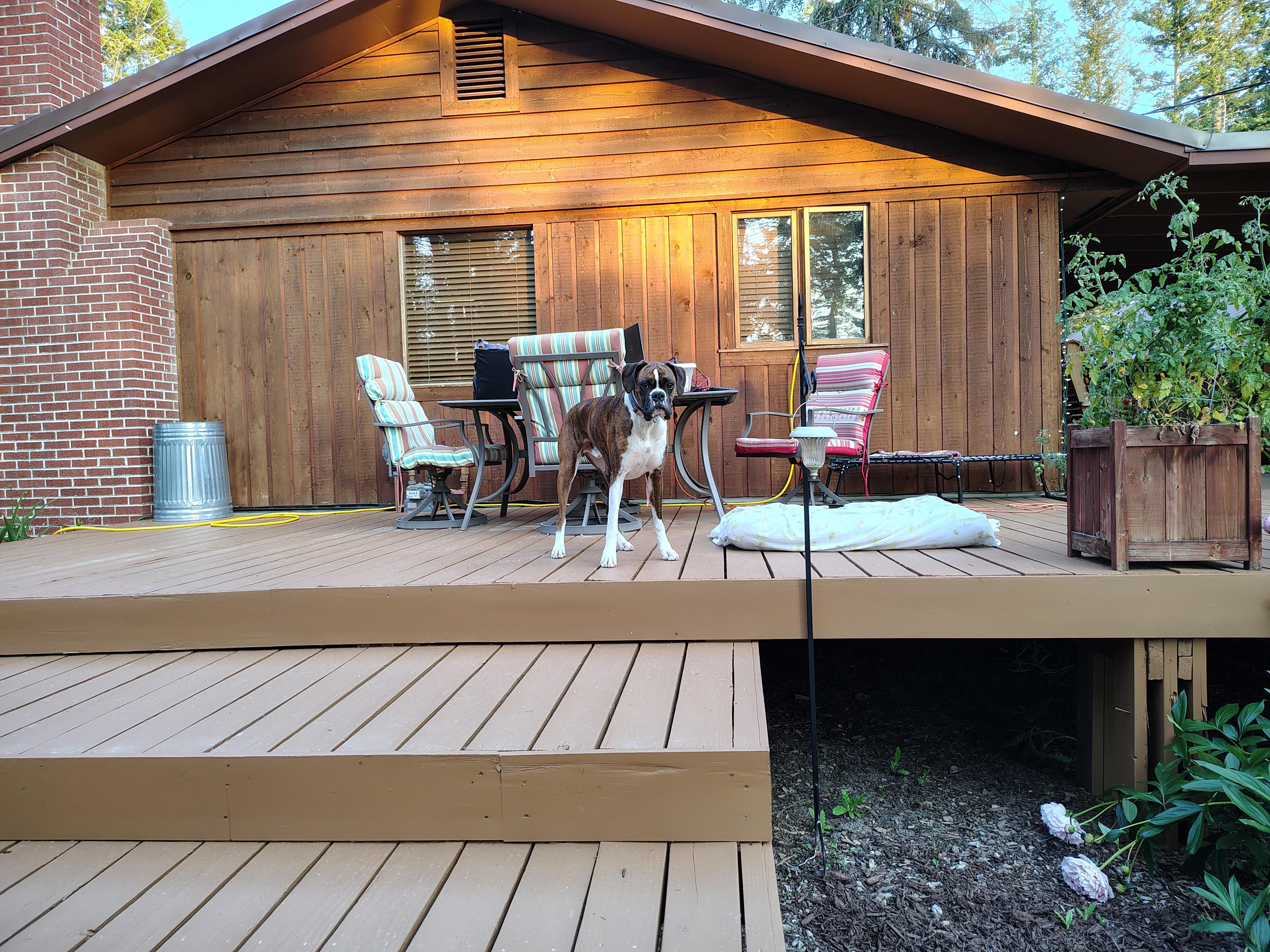 Back deck