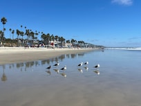 Walking the sand