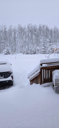 Looking out the front door of the cabin.