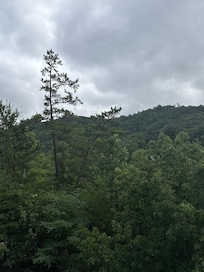 View from the top deck