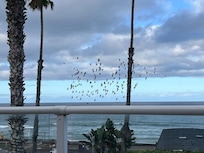 Morning view from balcony