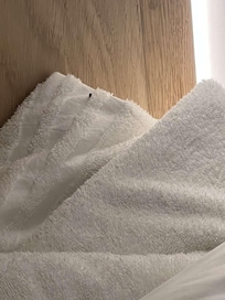 doesn´t look like a fly to me.