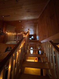 The dogs got used to the stairs and loved going up and down.
