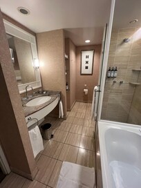 Bathroom with both shower and bath.