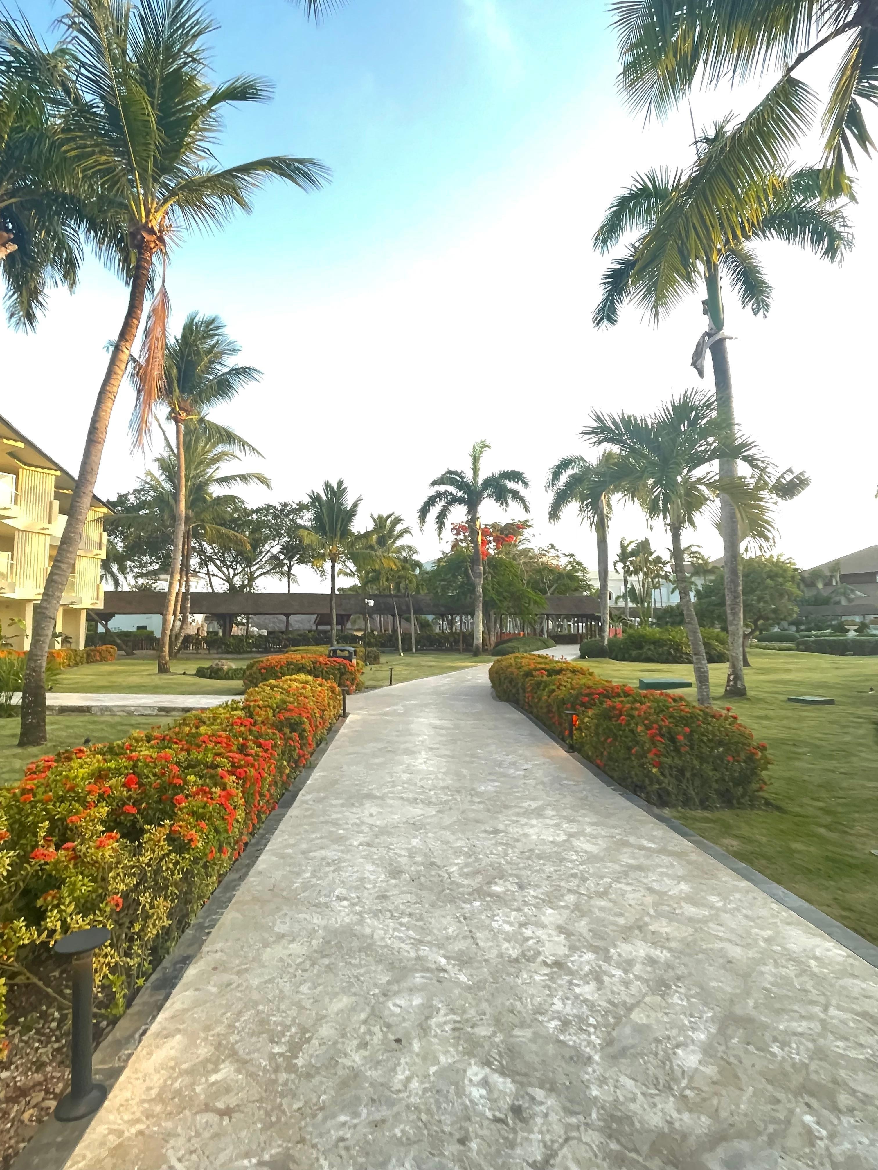 Walkway to the buffet 