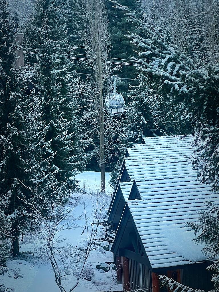 Our view from the living room 