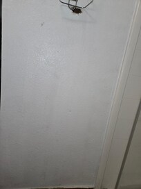 Hole in bathroom wall