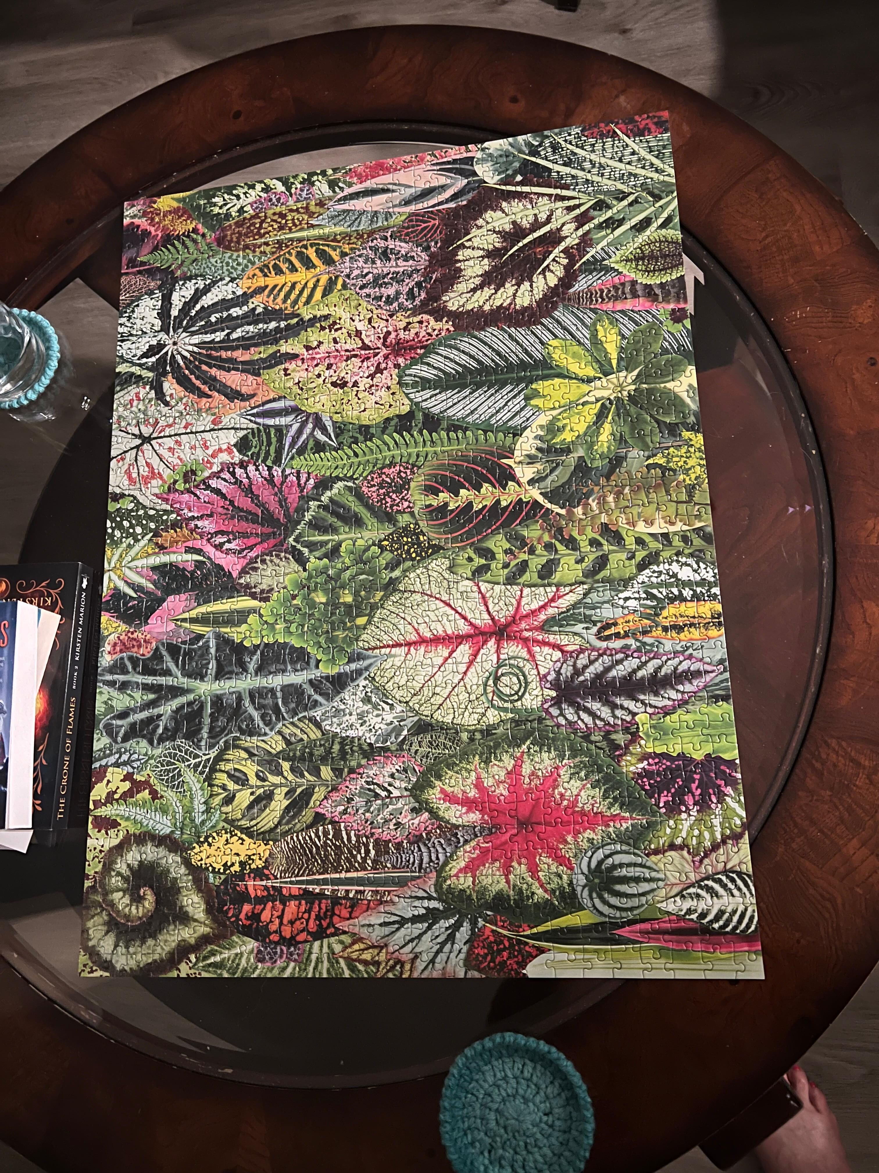 A puzzle that we put together!