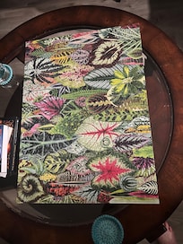 A puzzle that we put together!