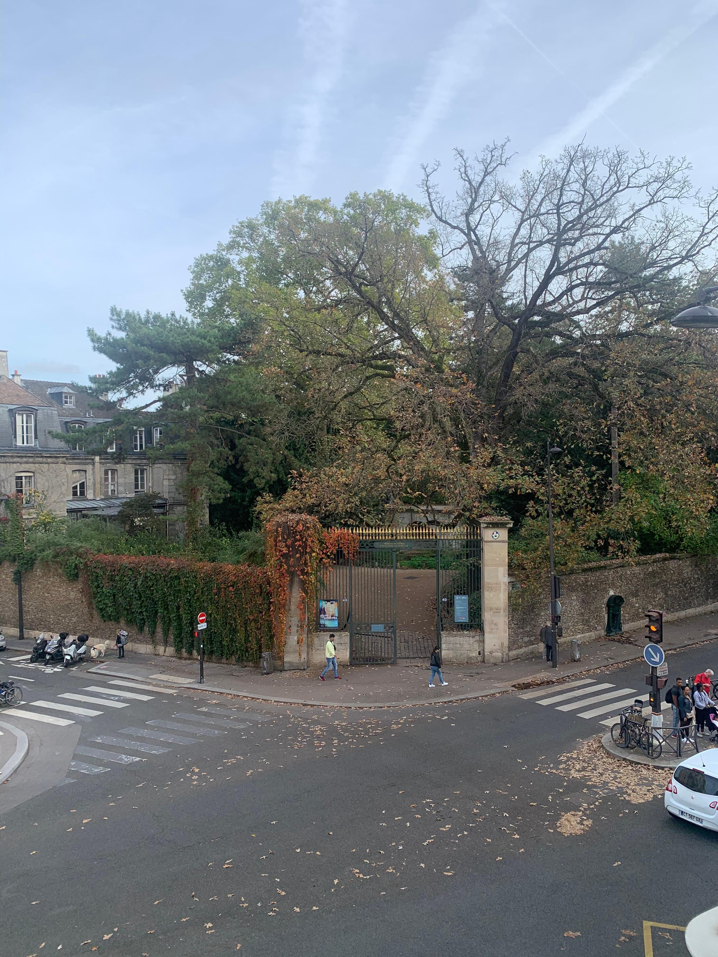 Museum across the road