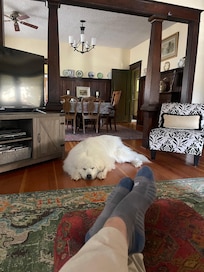 Comfy!