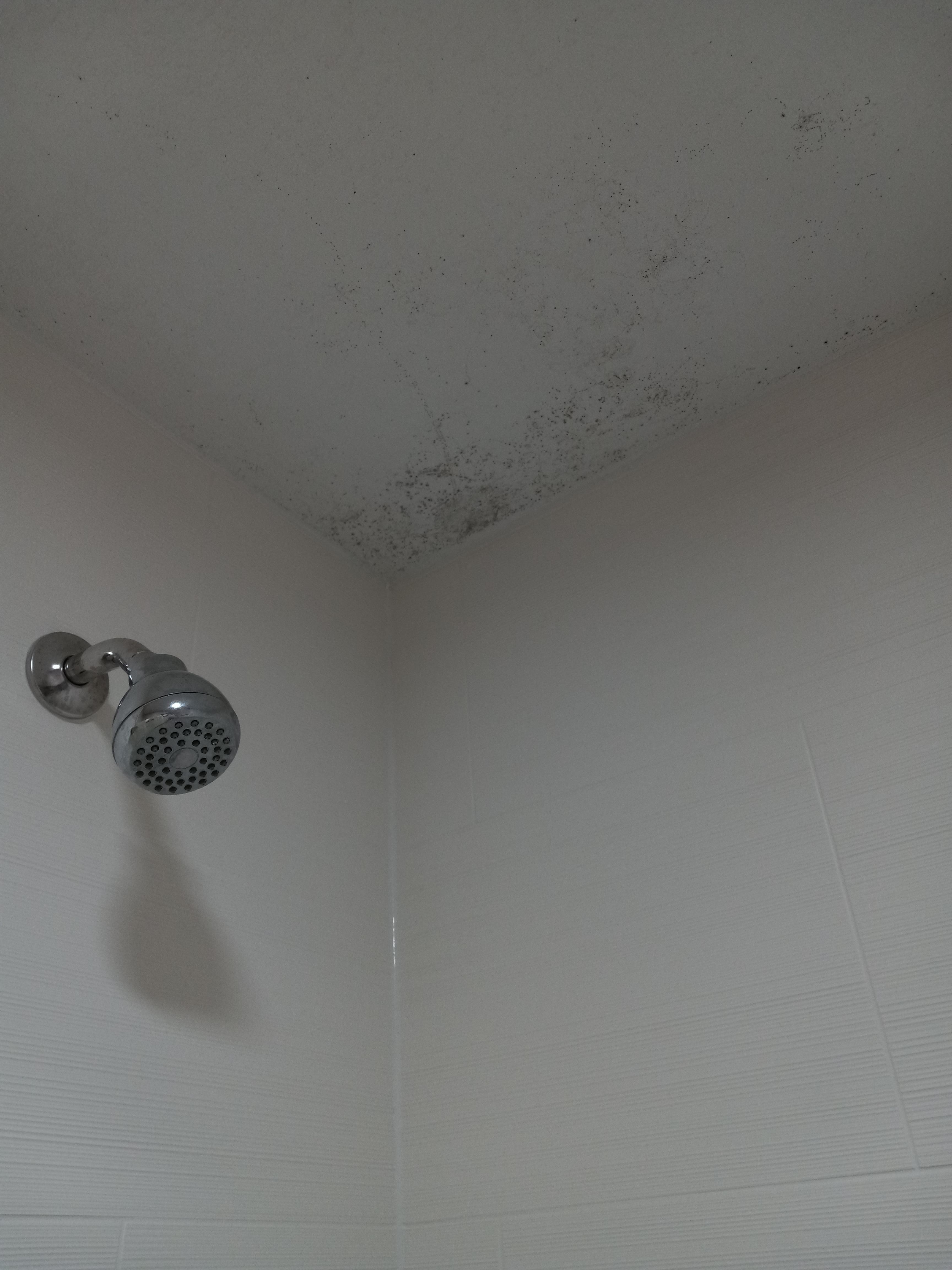 Mold above shower on ceiling