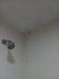 Mold above shower on ceiling
