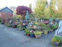 Plant sales just across the river from the hotel