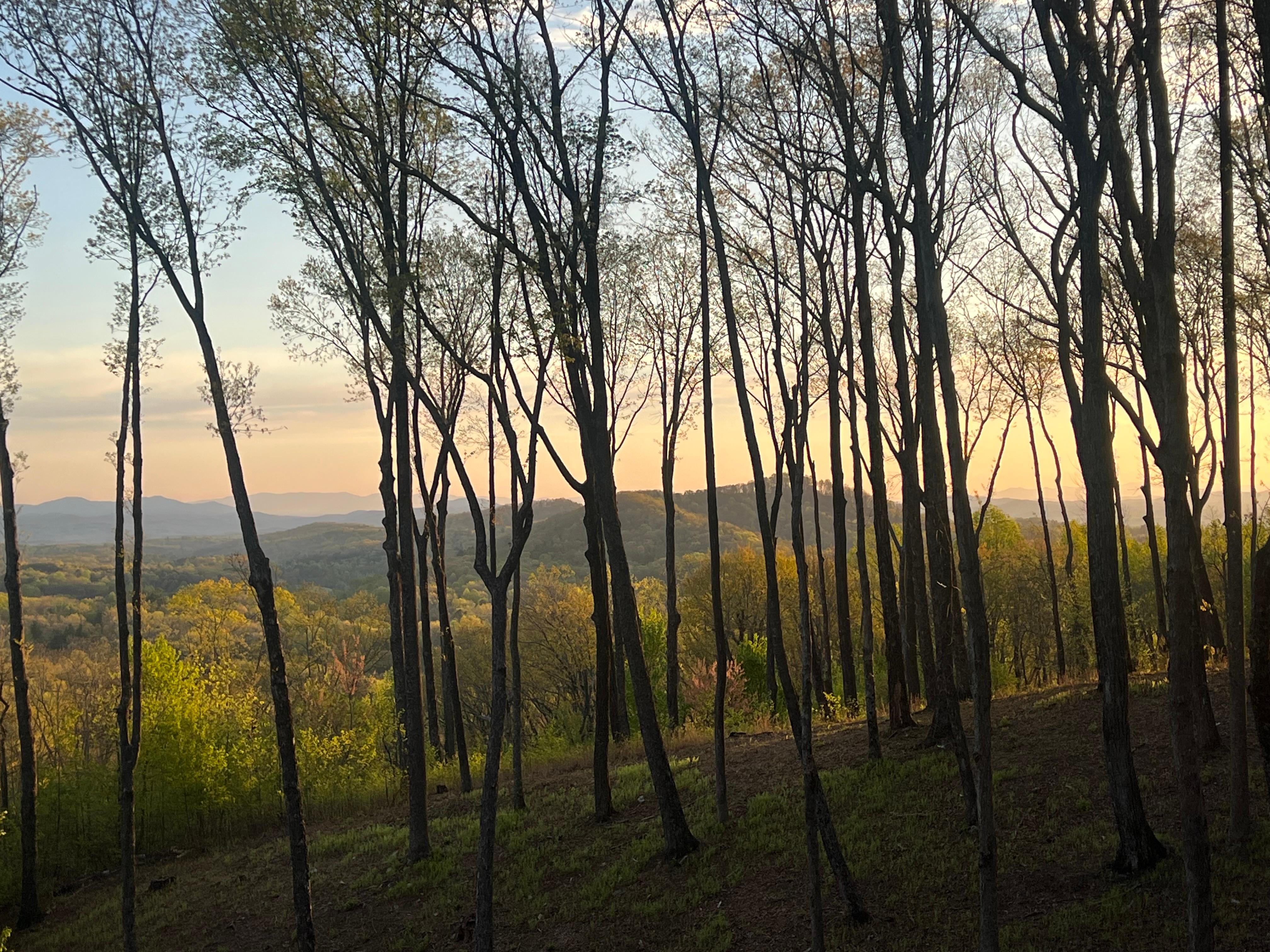 Taken outside the cabin. It was very quiet and peaceful.