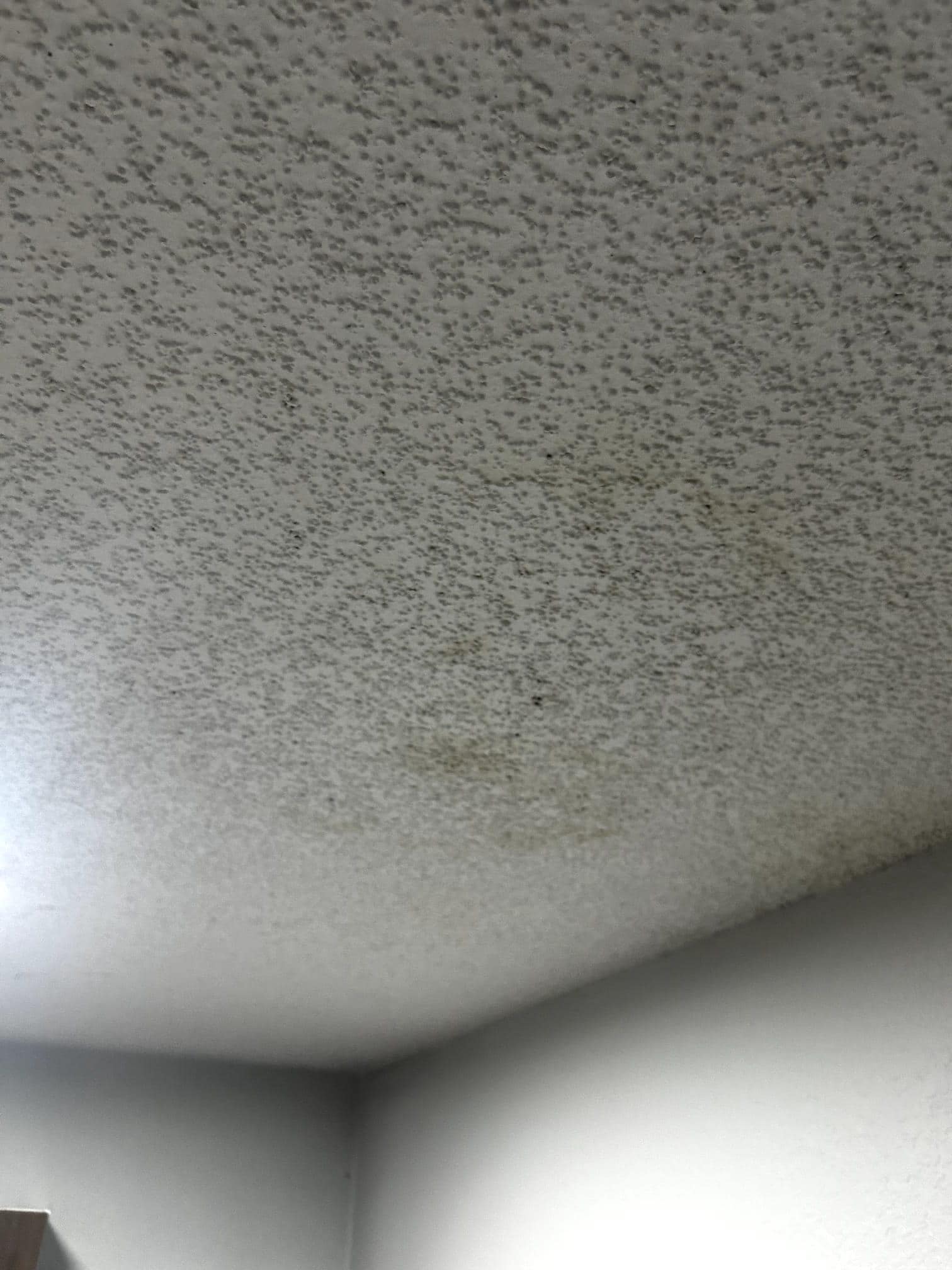 Leaking ceiling 