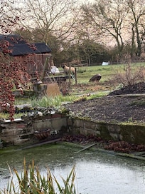 The local neighbours - out every morning and watching you swim