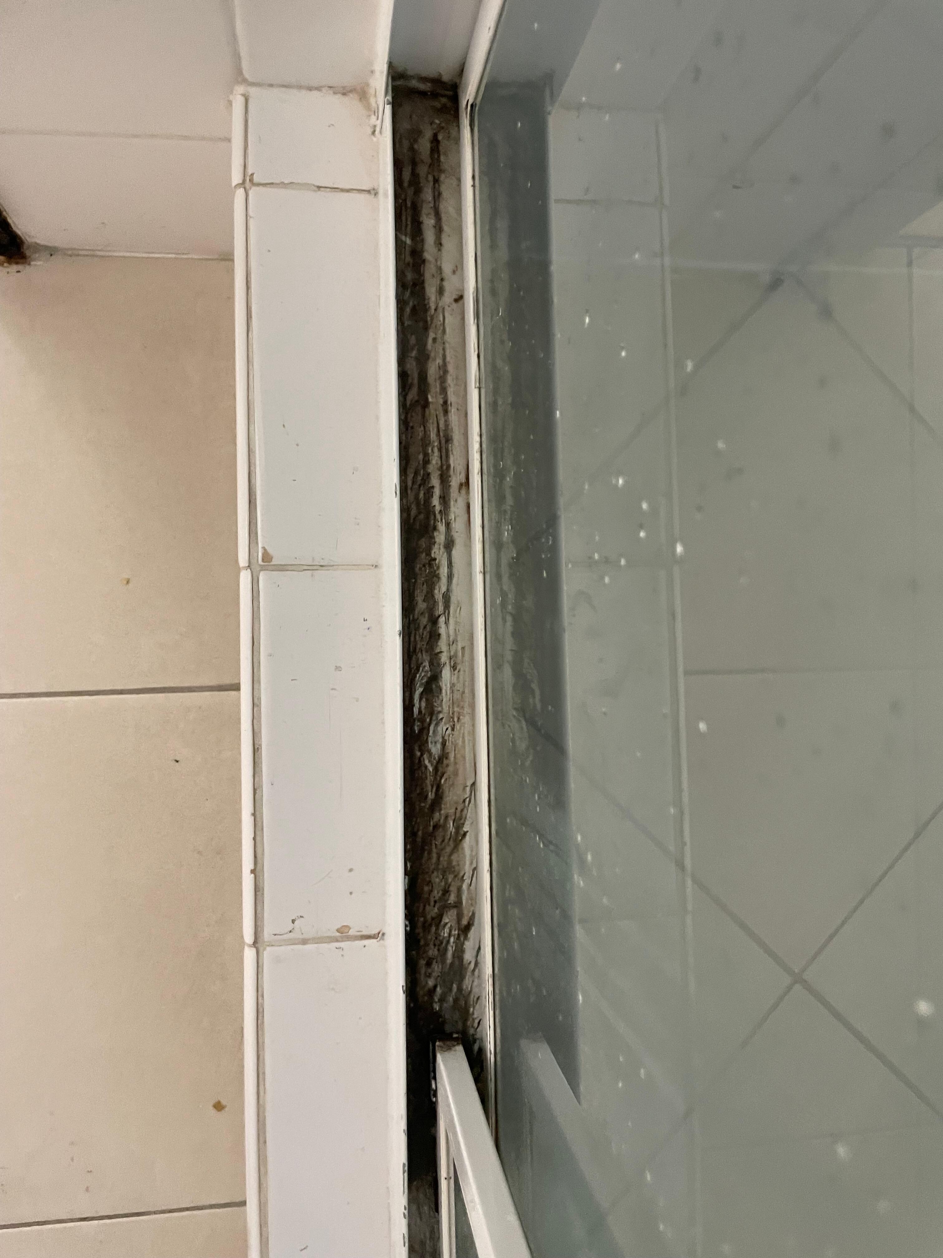 Mould and slime in shower
