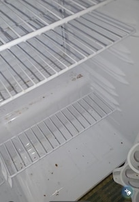 Mold in the fridge