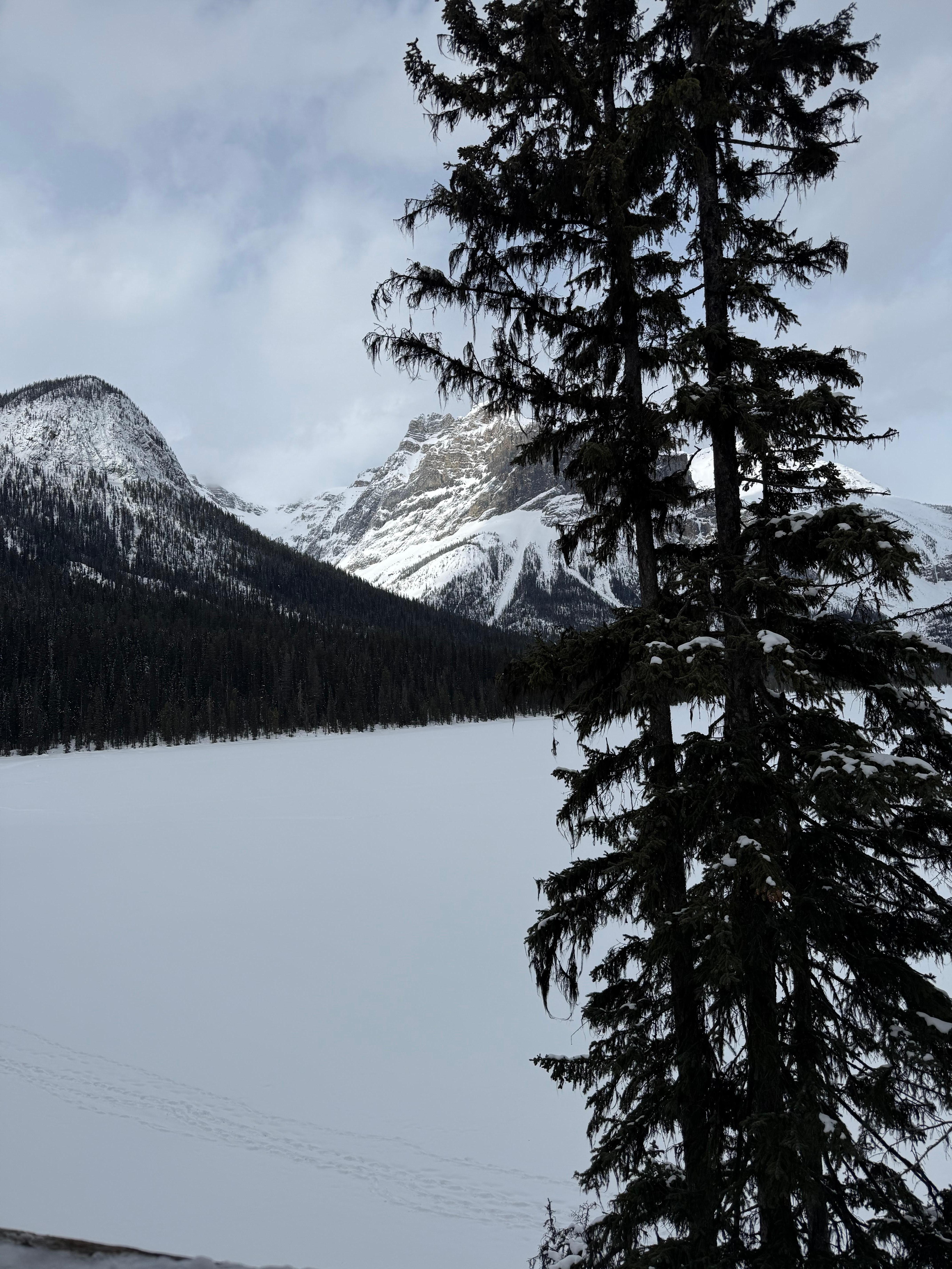 View of lake from room.