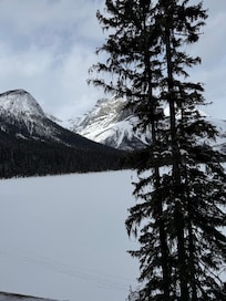 View of lake from room.